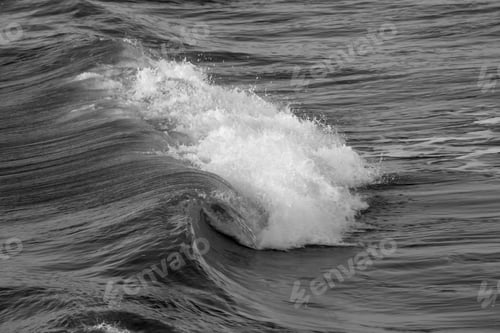 Preview: Ocean Waves In Black And White