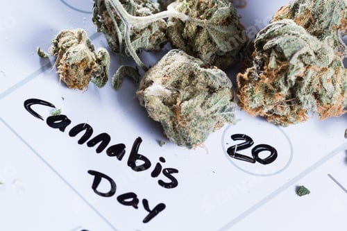 Preview: Close Up Image For A Concept Using A Calendar, A Cannabis Bud And A Black Marker To Write The Words