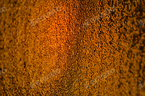 Preview: Colorful Stained Glass - Color Background - Beautiful Orange Gold