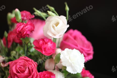 Preview: A Bouquet Of Red White And Pink Roses 1591