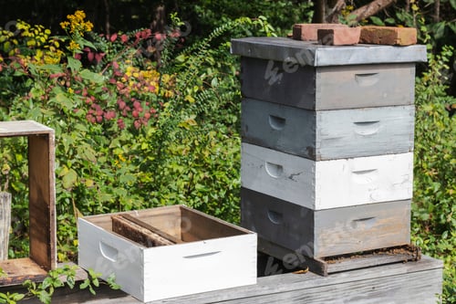 Preview: Wooden Honey Bee Hive