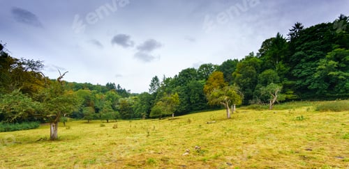 Preview: Green Field In Countryside With Trees And Woods In Distance, Belgium. Belgium Europe