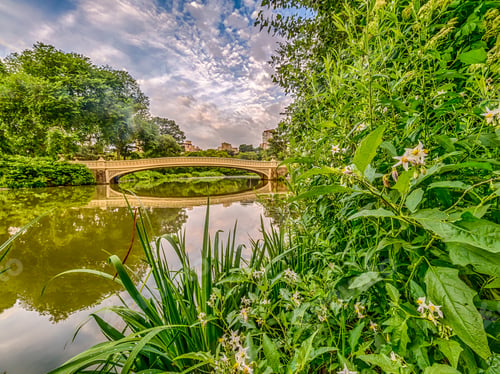 Preview: The Bow Bridge Is A Cast Iron Bridge Located In Central Park, New York City, Crossing Over The Lake