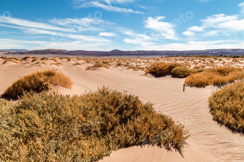 Preview: The Landscape Of Northern Chile With The Andes Mountains And Volcanoes With Snow On The Summit