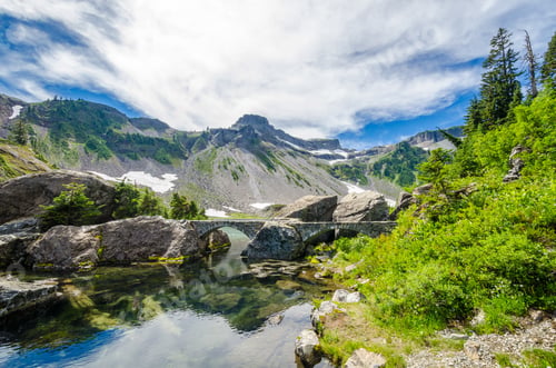 Preview: Fragment Of Mount Baker Trail In, Washington, Usa