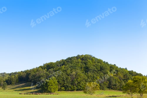 Preview: Countryside Landscape