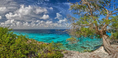 Preview: Washington Slagbaai National Park Is A National Park And Ecological Reserve On The Northwestern
