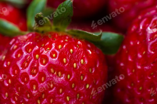 Preview: Close Up Of A Bunch Or Organic Strawberries With A Vibrant Red Color