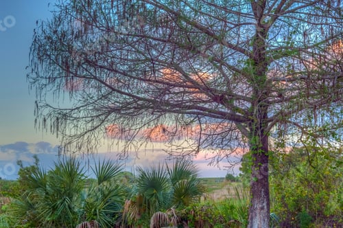 Preview: Everglades National Park Is An American National Park That Protects The Southern Twenty Percent Of
