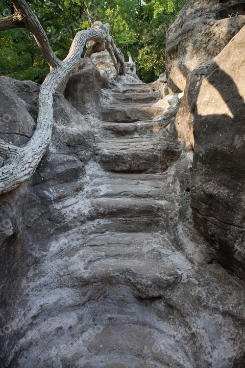 Preview: Rustic Stairs Going Up