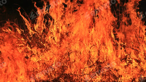Preview: Flame And Fire Background - Colors Of Burning Heat - Iconic Tool Of Man'S Survival
