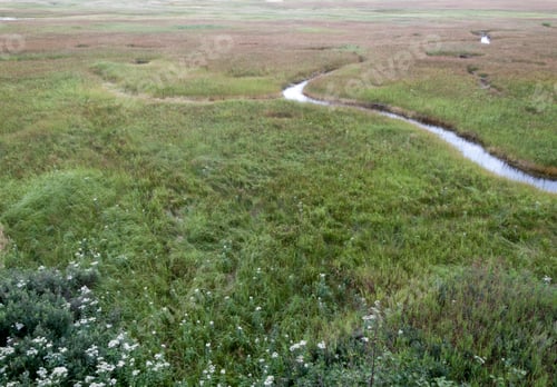 Preview: Wetland, Quebec, Canada