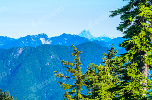 Preview: Fragment Of Mount Seymour Trail In Vancouver, Canada.