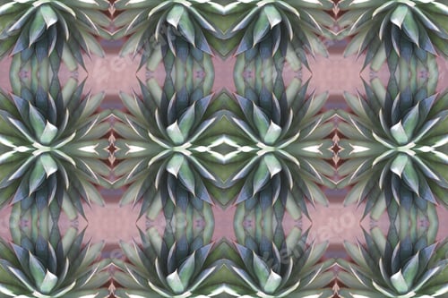 Preview: A Blue Glow Agave Plant Against A Red Stucco Wall 6400