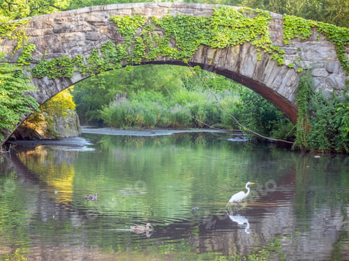 Preview: Gapstow Bridge In Central Park In Summer