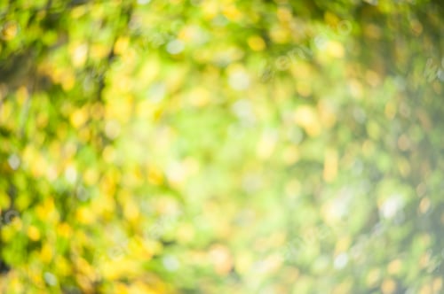 Visualização: Folhas verdes borradas de fundo de primavera para um cenário colorido da natureza