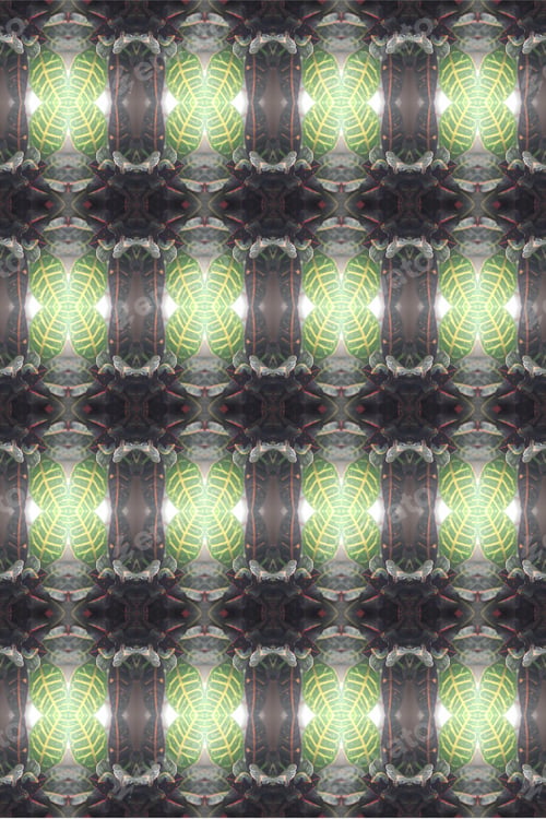 Preview: A Variegated Croton Petra Plant Abstract With Vivid Leaves 0528