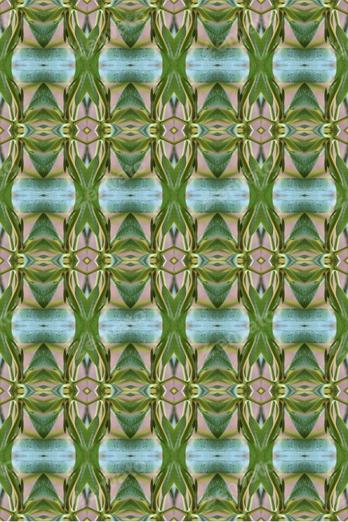 Preview: A Plumeria Rubria Plant Abstract With Lush Green Leaves 0561