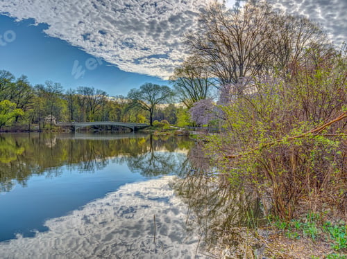 Preview: Spring In Central Park, New York City Bow Bridge In Early Morning