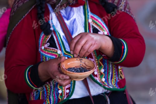 Preview: Close Up Of A Woman Hands Holding Seeds Used For Dying Textiles