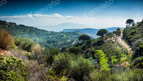 Preview: Panoramic View Of Trees On Mountains