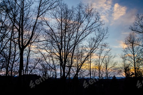 Preview: Winter Evening Light In The Blue Ridge Mountains In North Carolina With Silhouetted Trees Against