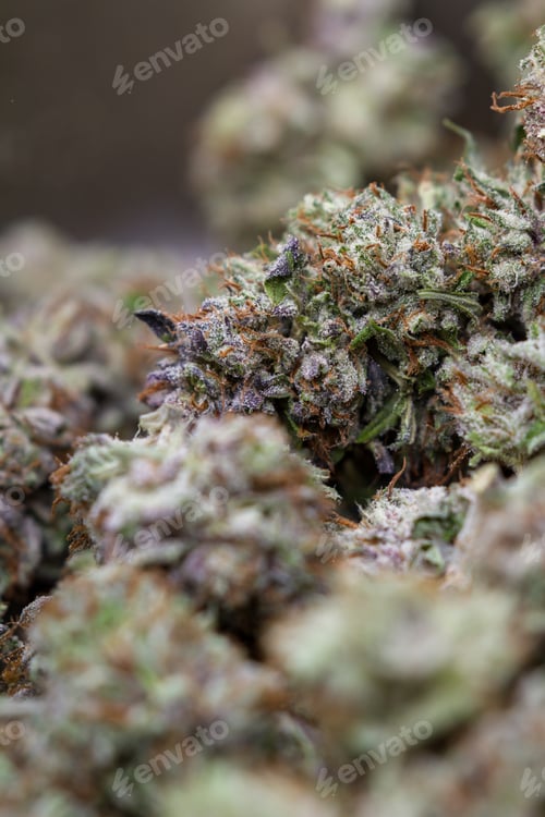 Preview: Close Up Of A Group Of Cannabis Buds Loaded With Crystals