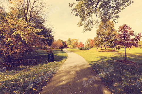 Preview: City Park In Fall