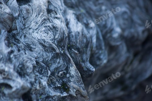 Preview: Abstraction Of Weathered Tree Roots