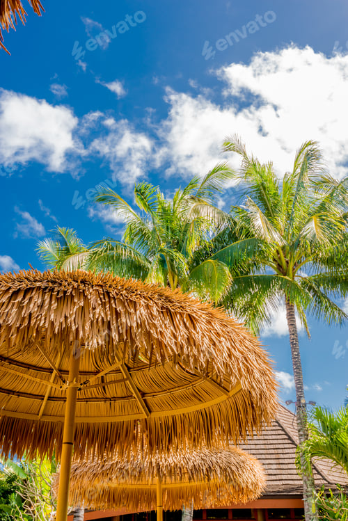 Preview: Beach Straw Umbrella On Sky Background.