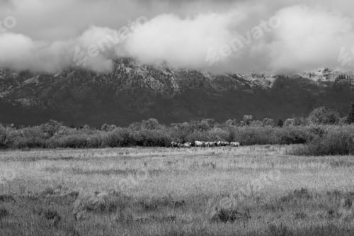 Preview: Snow Capped Mountains With Clouds