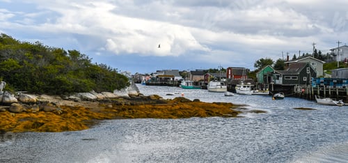 Preview: Seascape In West Dover, Nova Scotia, Canada, As A Gull Flies Over A Fishing Village On A Bay Of The