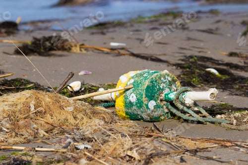 Preview: Colorful Buoy Washed Up On Shore