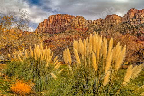 Preview: Zion National Park Is Located In The Southwestern United States, Near Springdale, Utah