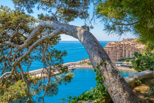 Preview: Street In Monaco Village In Monaco Monte Carlo, France.