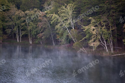Preview: Early Morning Mist On A Quiet Lake Reflecting Trees