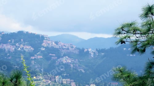 Preview: Green Tree Overlooking Shimla, India