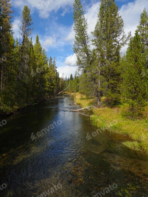 Preview: Fall Leaves Outdoors With A River
