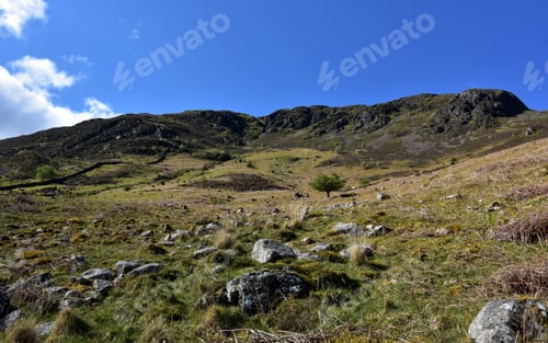 Preview: Stunning Valley At The Base Of A Fell In England.