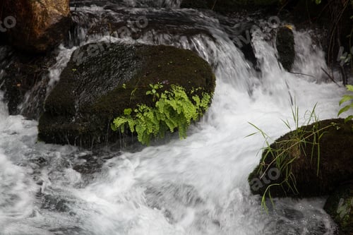 Preview: River Cascading Around Rocks Outdoors