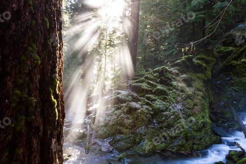 Preview: Beautiful Starburst From The Sunshine Exaggerated From A Faint Mist In The Air Creating A Beautiful