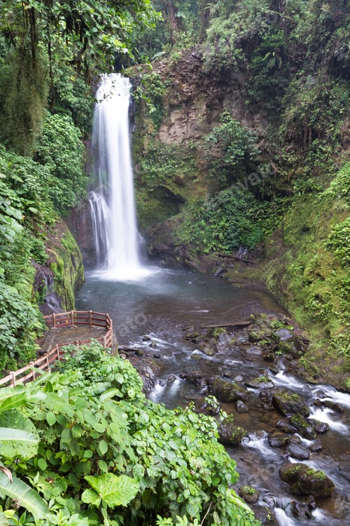 Preview: Beautiful Waterfall In A Tropical Rain Forest In Central Costa Rica