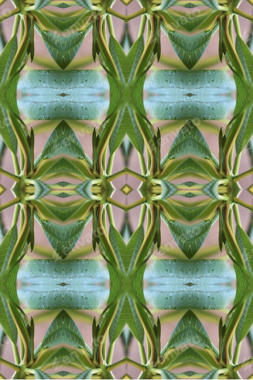 Preview: A Plumeria Rubria Plant Abstract With Lush Green Leaves 0561
