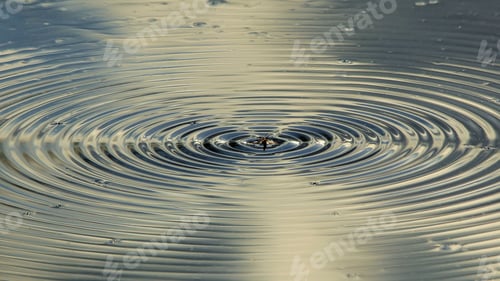 Preview: Moth Water Ripples - Nature Backgrounds Of Interesting Beauty - Motion Of Wonderful Earth