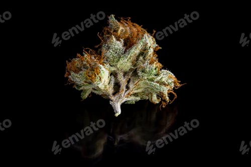Preview: Close Up Of A Cut And Trimmed Bud Of Marijuana On A Black Reflective Surface
