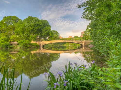 Preview: Central Park, Manhattan, New York City In Spring