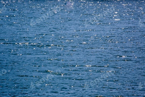 Preview: Abstract Of Lake Water