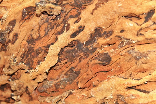 Preview: Wood Textured Background - Natural Beauty Through Hardwood