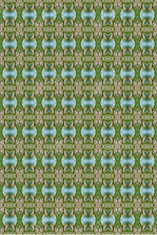 Preview: A Plumeria Rubria Plant Abstract With Lush Green Leaves 0561