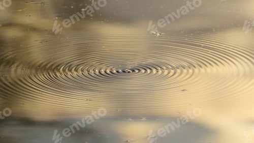 Preview: Moth Water Ripples - Nature Backgrounds Of Interesting Beauty - Motion Of Wonderful Earth